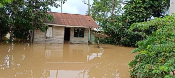 
					Banjir yang terjadi di salah satu rumah warga yang dekat wilayah IKN/ Foto: Kompas