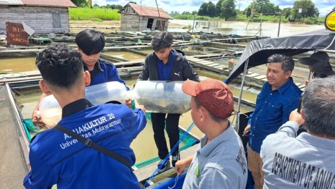 
					Ket Foto : Prodi Akuakultur FPIK Unmul Gelar Pengabdian Masyarakat di Desa Pela dan Desa Sangkuliman, Kota Bangun, Kabupaten Kutai Kartanegara/ Foto: Fasenews.id