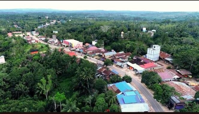 
					Wilayah Kecamatan Kota Bangun Darat Kutai Kartanegara/Foto: IST