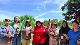 Sekretaris DPD PDI Perjuangan Kaltim, Ananda Emira Moeis serahkan bantuan pupuk gratis di kelompok tani desa Giri Mukti, kecamatan Penajam, Kabupaten Penajam Paser Utara