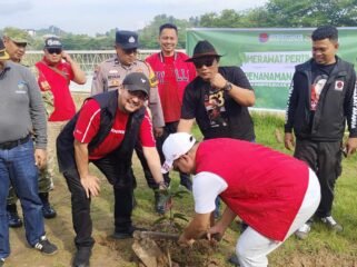 DPC PDI Perjuangan Kota Samarinda Gelar Penanaman Pohon dalam Rangka Bulan Bung Karno 2026